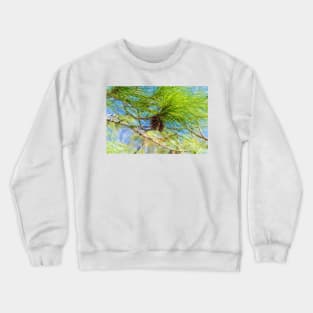 Pine cones on a tree Crewneck Sweatshirt